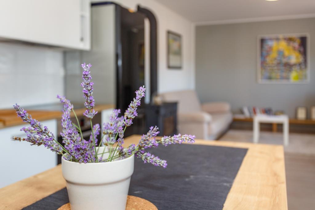 Villa Mirela Apartment 瓦比尼科 外观 照片